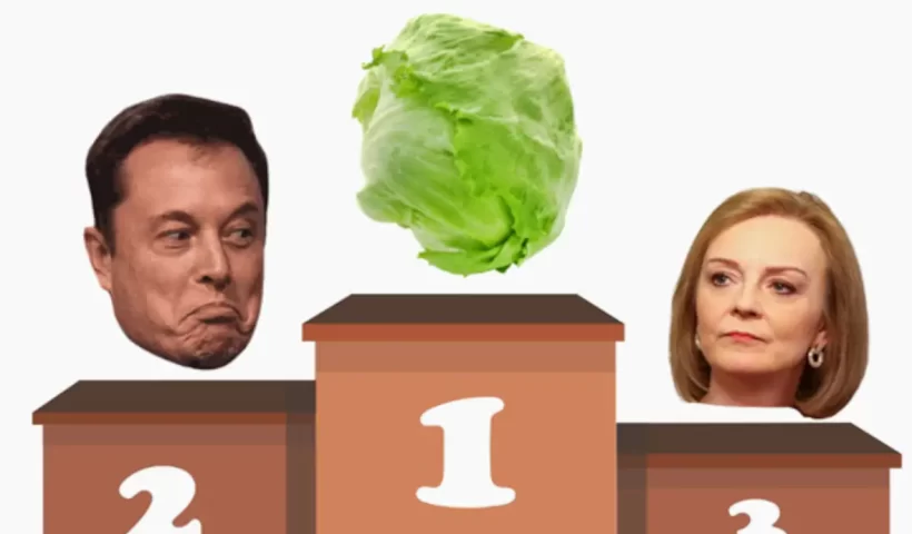 ''Who Lasted The Longest'': Tweet Pokes Fun At Elon Musk Using Liz Truss' Lettuce Joke