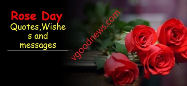 Rose Day quotes,Wishes and messages