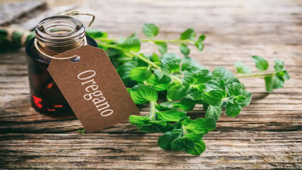 wellhealthorganic.com:health-benefits-and-side-effects-of-oil-of-oregano